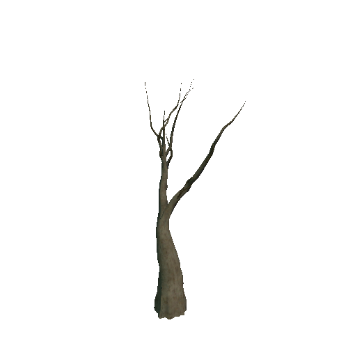 Dead_Tree_01