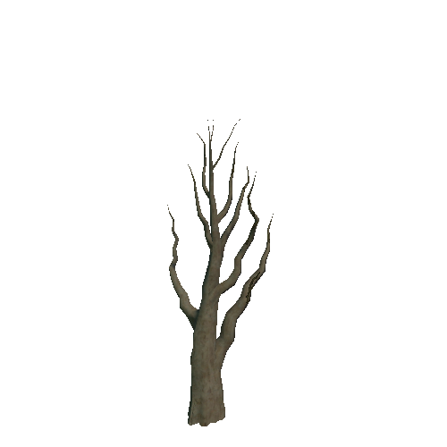 Dead_Tree_02