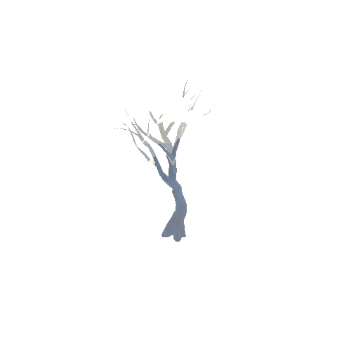 Dry_Tree_05