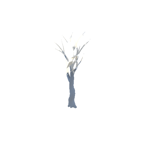 Dry_Tree_06