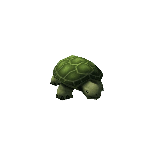 turtlePrefab