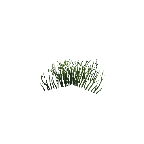 PlantGrass_LOD1