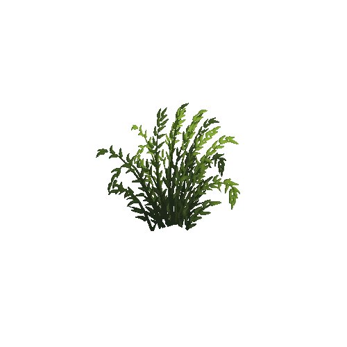 PlantShrub_LOD1