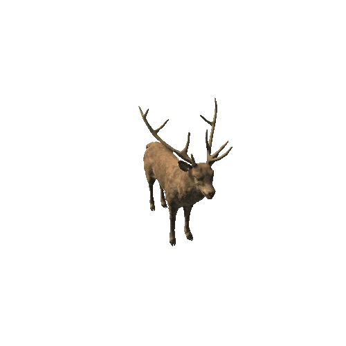 DeerStag_PBR