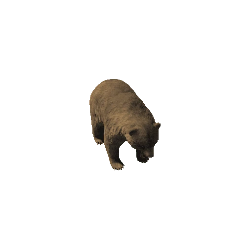 Bear_PBR