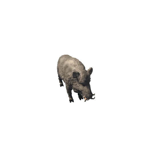 Boar_PBR