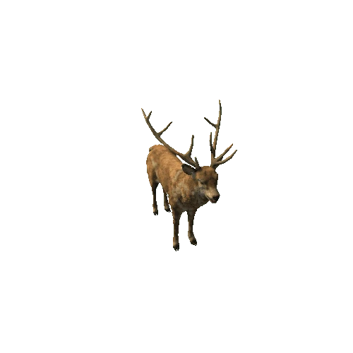 DeerStag_Legacy