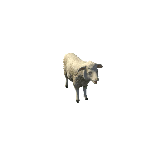 Sheep_Legacy