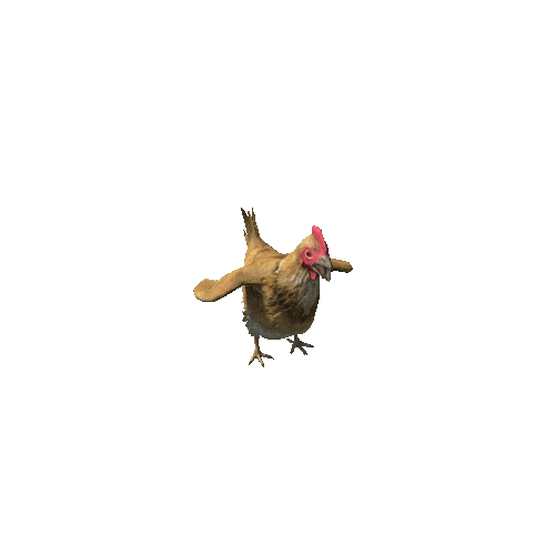 Chicken1_Legacy