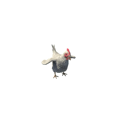 Chicken2_PBR