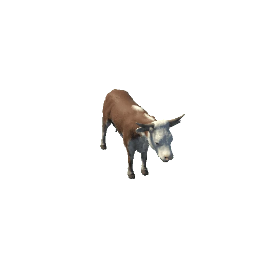 Cow1_PBR