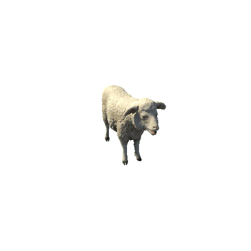 Sheep_PBR