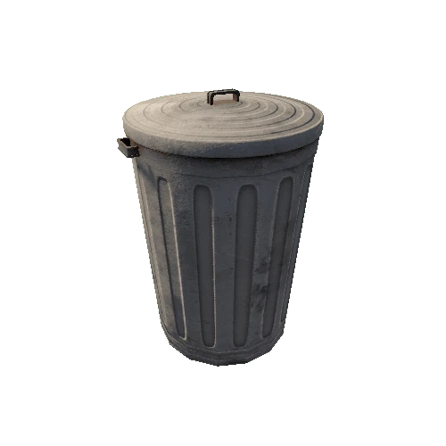 TrashCanDirt