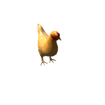 Chicken_Brown_ani