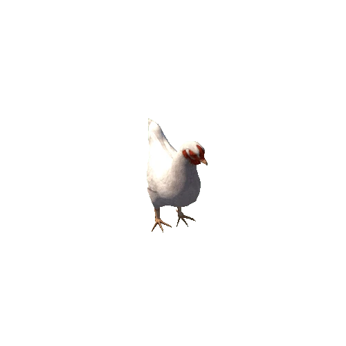 Chicken_White_An