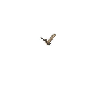 Owl_Flying