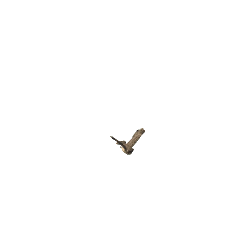 Owl_Flying
