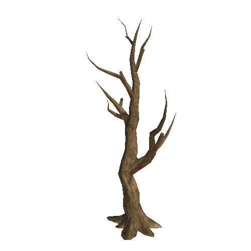 WDTree_01_02