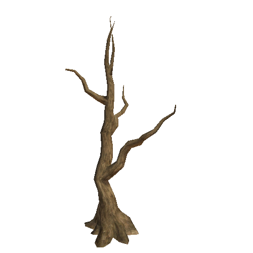 WDTree_01_03