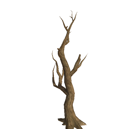 WDTree_01_05