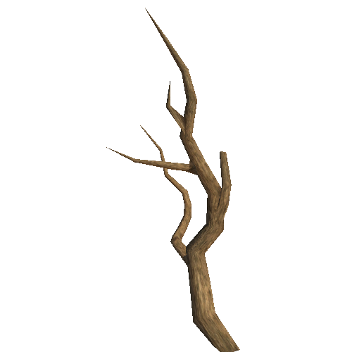 WDTree_01_07