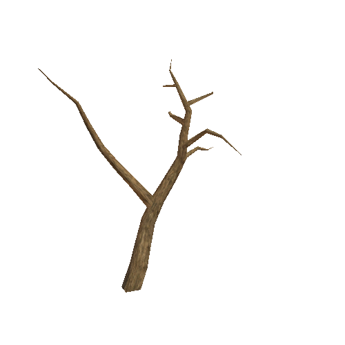 WDTree_01_09