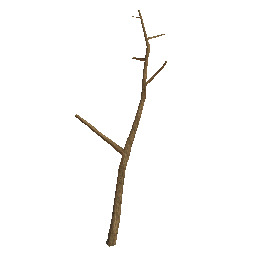 WDTree_01_10