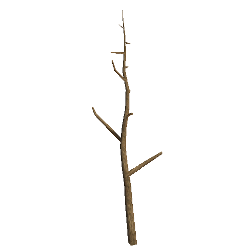 WDTree_01_11