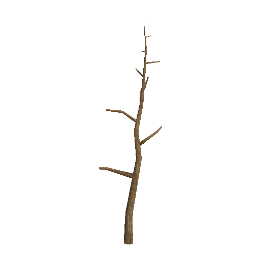 WDTree_01_12