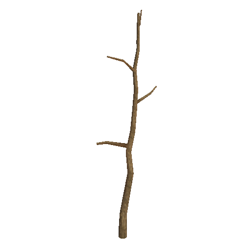 WDTree_01_13