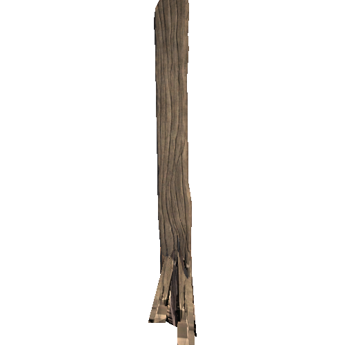 WPlank_Splinted_02