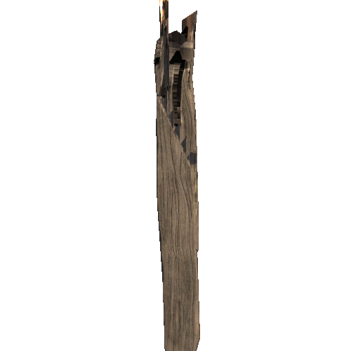 WPlank_Splinted_04