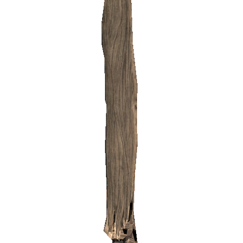 WPlank_Splinted_05