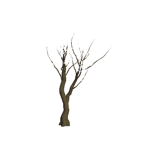 WTreeBaldF_03_06