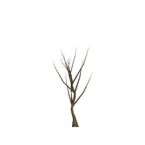 WTree_01_01