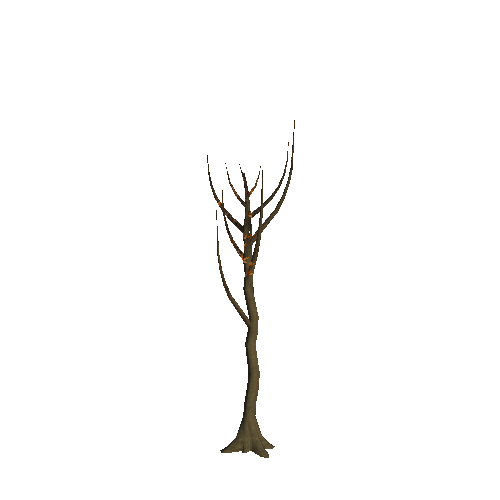 WTree_02_01