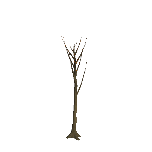 WTree_02_02