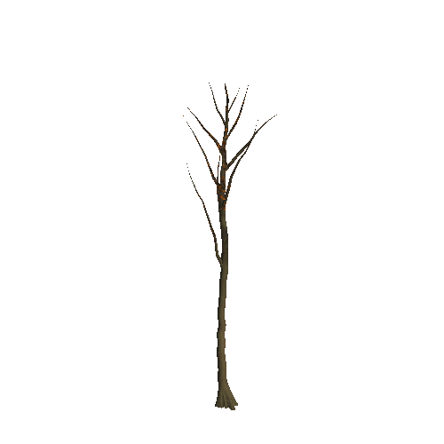 WTree_02_03