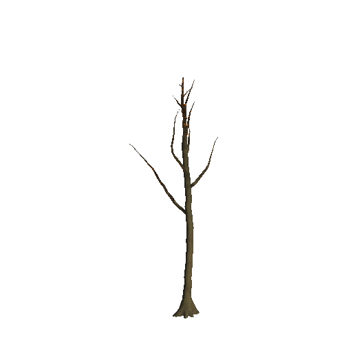 WTree_02_04