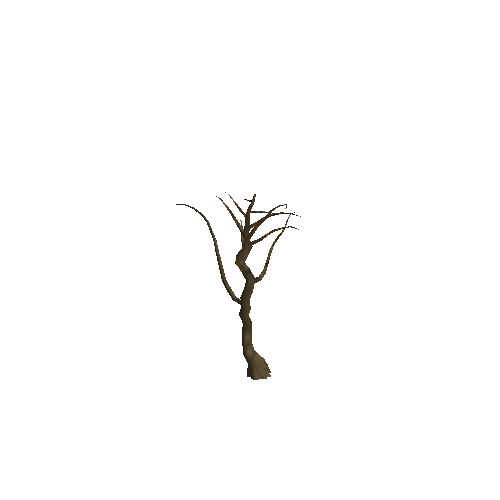 WTree_02_06