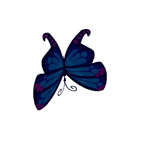 Butterfly_02