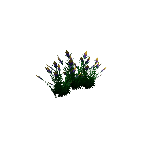 Flower_01