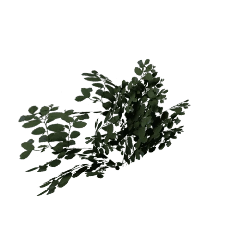 bush07_lod03