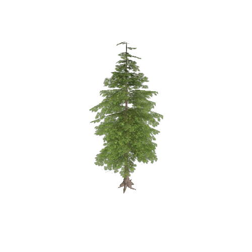 pine02_lod01_sm