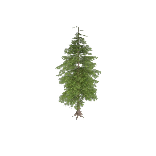 pine02_lod02_sm