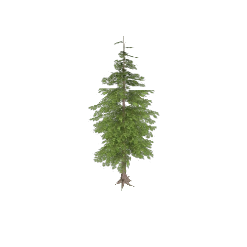 pine02_lod3