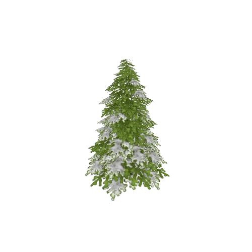 pine05_lod2