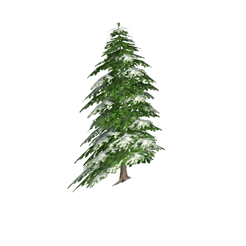 pine05_lod4