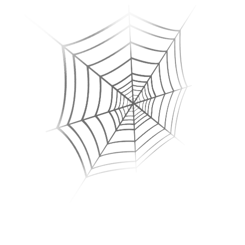 Spider_Web