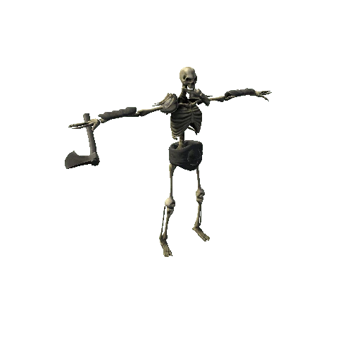 Skeleton_05